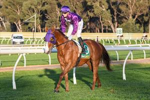 Our Boy Bryan, Bendigo June 2023 Our Boy Bryan, Bendigo June 2023